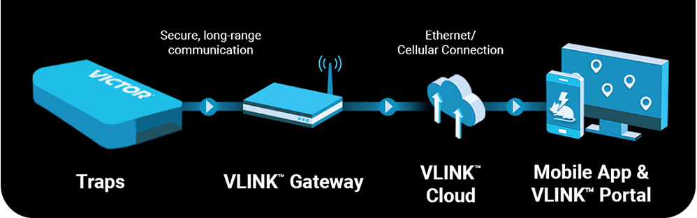 Diagram of VLINK Trap Setup