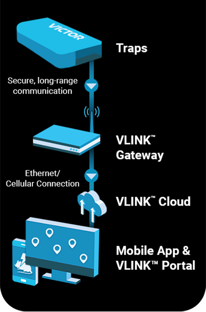 Diagram of VLINK Trap Setup